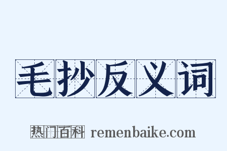 毛抄反义词是什么意思的图片